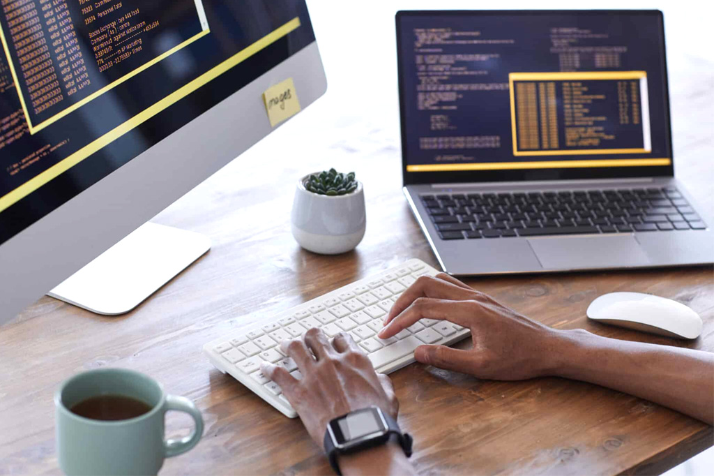 Website Management Care Plans
