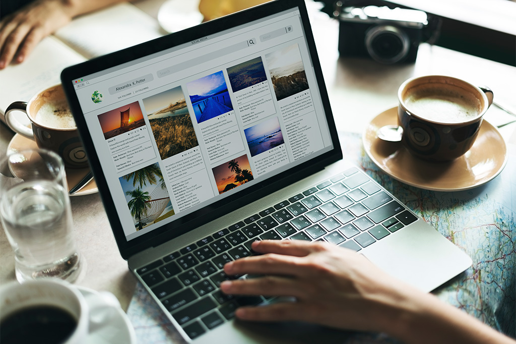 website management